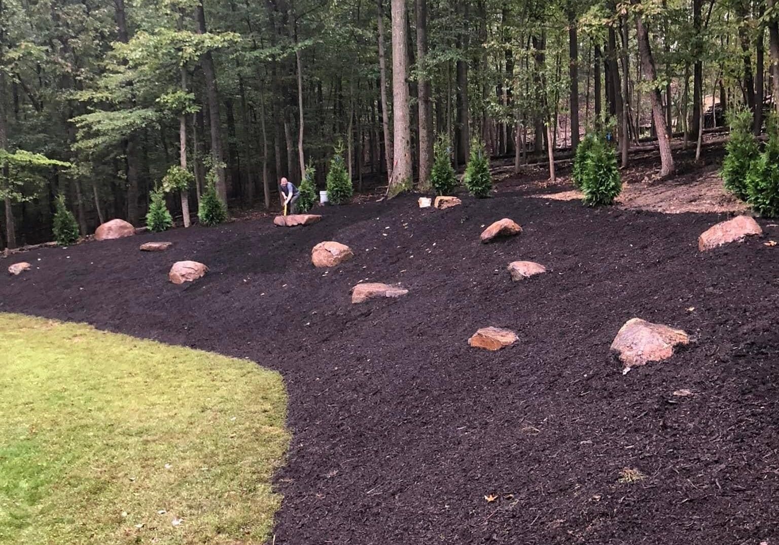 Mulched wooded landscape bed with decorative boulders and trimmed lawn